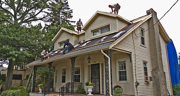 Best Roof Gutter Cleaning  in Decatur, MS